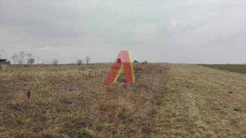 GOSPODARSTWO ROLNE /DZIAŁKA BUDOWLANO ROLNA
