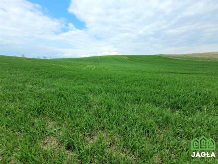 Działka nad jeziorem warunki zabudowy 10 700 m2