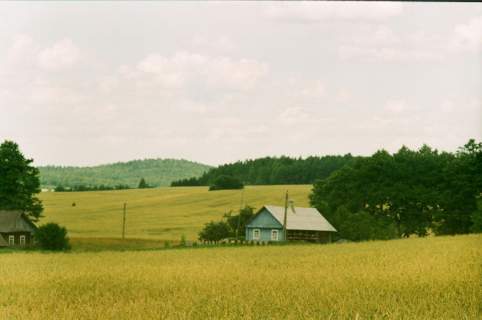 Działka siedliskowa