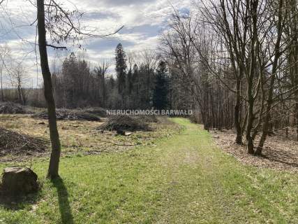 Działka budowlana na sprzedaż, 16000 m2, Kalwaria Zebrzydowska