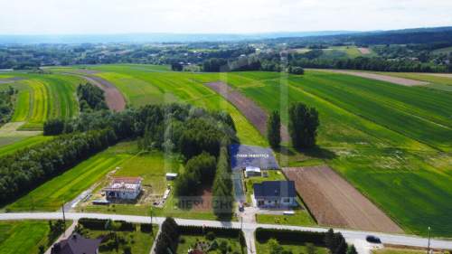 Działka budowlana / 15 ar / Niechobrz / WZ