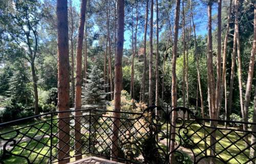 Apartament 5 pokojowy na wynajem