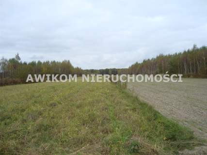 Działka rolna na sprzedaż, 16200 m2, Zawodne