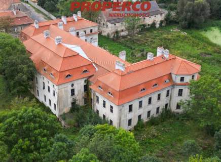 Pałac z XVII wieku, 4100 m2, park 10 ha, Małuszów