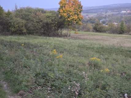 Działka budowlana na sprzedaż, 3600 m2, Brzękowice-Wał