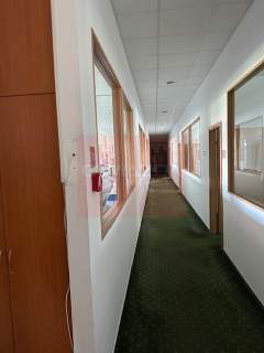 Magazyn do wynajęcia, 800 m2, Piaseczno