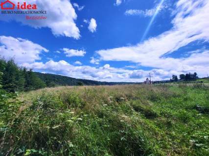 Działka budowlana na sprzedaż, 6553 m2, Dydnia