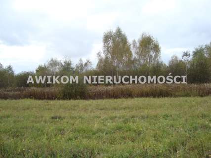 Działka rolna na sprzedaż, 16200 m2, Zawodne