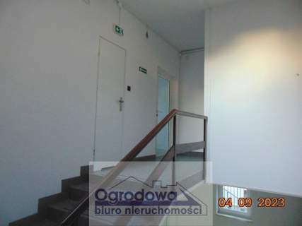 Klimatyzowany lokal biurowy 185m2-Służew n.Dolinką