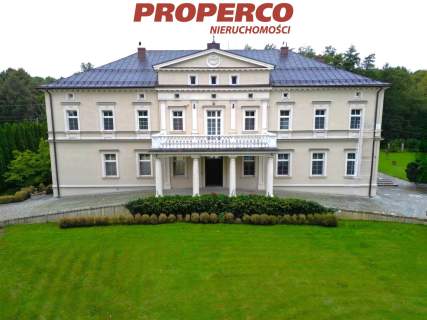 Pałac z XIX wieku 850m2, park i sad 25 ha, Kamień