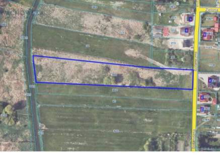 Działka 9900m2 - Babimost