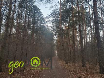 Działka leśna, Biała Podlaska