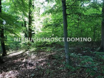 Działka na sprzedaż, 501 m2, Dobra