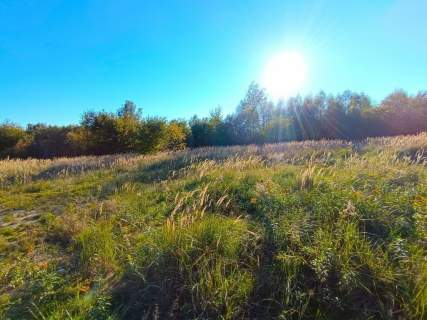 Działki pod zabudowę szeregową Dąbrowa