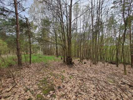 WEŁMIN - działka pod budowę domu