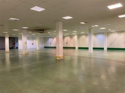 Magazyn do wynajęcia, 800 m2, Piaseczno
