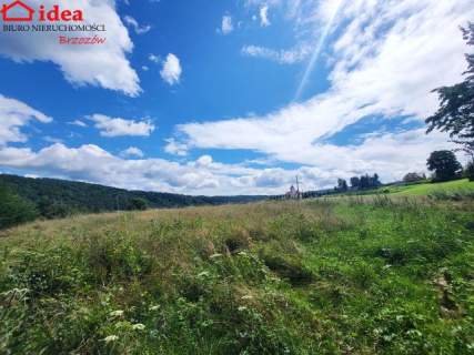 Działka budowlana na sprzedaż, 6553 m2, Dydnia