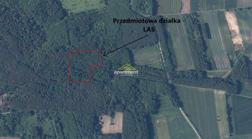 DZIAŁKA LEŚNA / LAS NA SPRZEDAŻ - GMINA SZCZUCIN