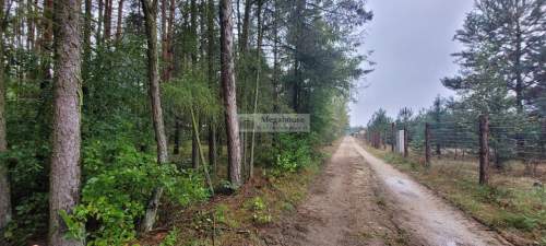 OKAZJA Chwałowice, las, cisza, piękna lokalizacja