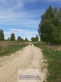 Działka rolna z lasem