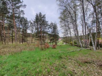 WEŁMIN - działka pod budowę domu