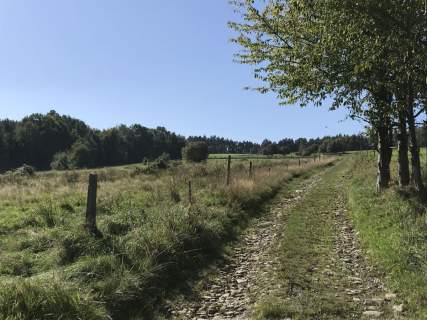 Spokojne miejsce z widokiem, blisko Żywca