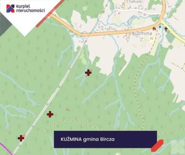 Działki leśne Kuźmina