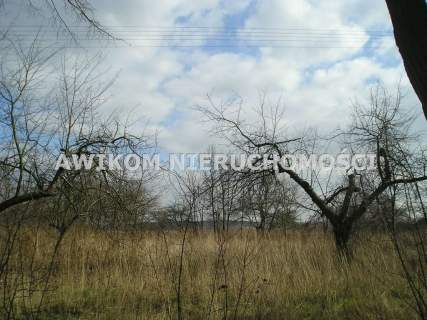 Budowlano-rolna 1,65 h z możliwością kupna do 5 h