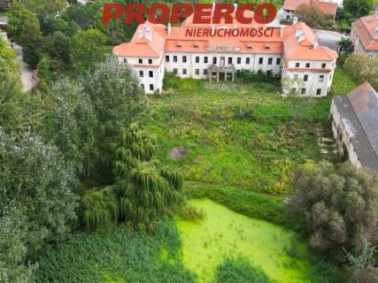 Pałac z XVII wieku, 4100 m2, park 10 ha, Małuszów