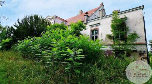 Dwór 5 km od Wrześni przy DK nr 15 działka 2,56 ha