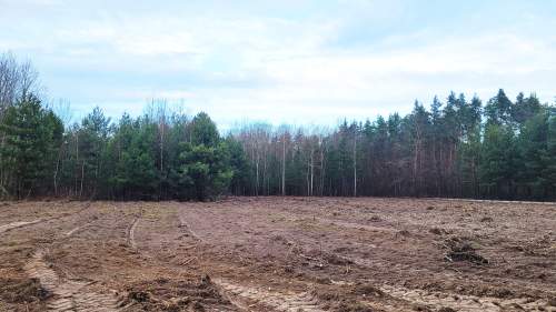 Sprzedam 1000 m2 Piskórka gm. Prażmów BUDOWLANA