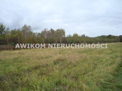 Działka rolna na sprzedaż, 16200 m2, Zawodne