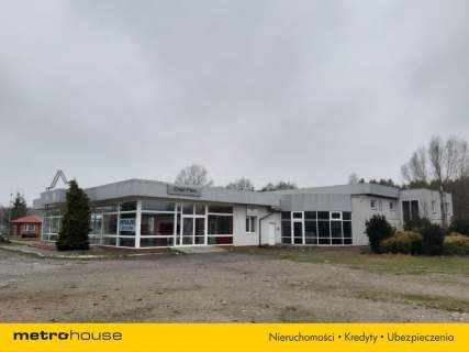 Lokal użytkowy do wynajęcia, 264 m2, Wola Łącka