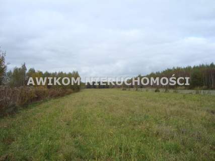 Działka rolna na sprzedaż, 16200 m2, Zawodne