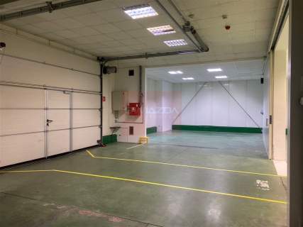 Magazyn do wynajęcia, 1600 m2, Piaseczno