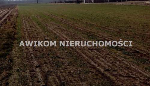 Działka rolna na sprzedaż, 6700 m2, Budy Trzcińskie