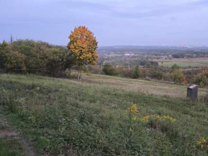 Działka budowlana na sprzedaż, 3600 m2, Brzękowice-Wał