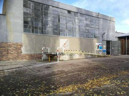 Hala Magazynowa 1700 mkw z Zapleczem Socjalnym