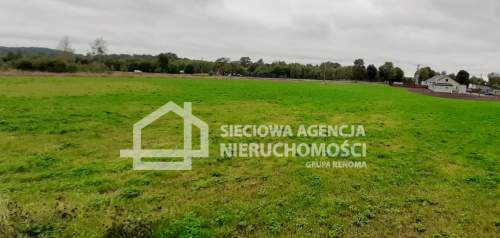 Atrakcyjna działka budowlano-usługowa 1000m2 Borcz