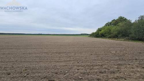Działka budowlana - Podła Góra, gm. Skąpe
