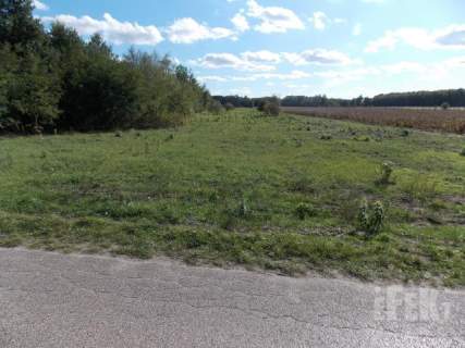 Działka rolna na sprzedaż, 11200 m2, Korabiewice