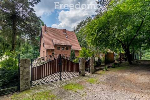 Agroturystyka w lesie nad jeziorem