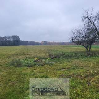 Działka budowlana na sprzedaż, 1000 m2, Kaliska