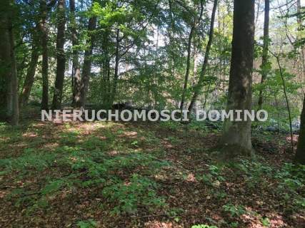 Działka na sprzedaż, 501 m2, Dobra