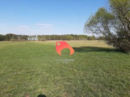 DZIAŁKA BUDOWLANA ANTONIEWO/NOWE DĄBIE 1123 M2