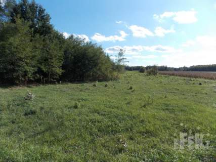 Działka rolna na sprzedaż, 11200 m2, Korabiewice