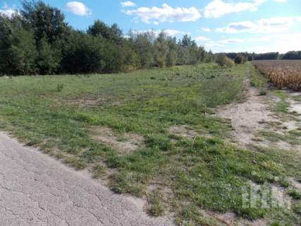 Działka rolna na sprzedaż, 11200 m2, Korabiewice