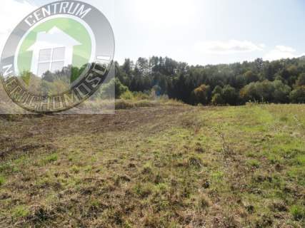 Działka budowlana na sprzedaż, 3000 m2, Niskowa