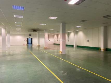 Magazyn do wynajęcia, 1600 m2, Piaseczno