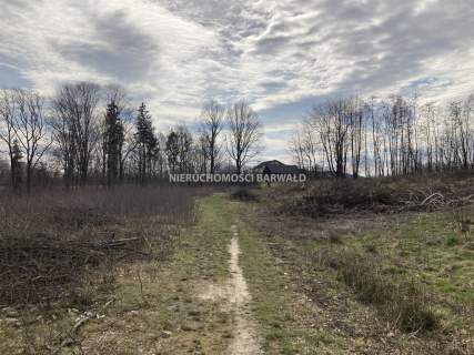 Działka budowlana na sprzedaż, 16000 m2, Kalwaria Zebrzydowska